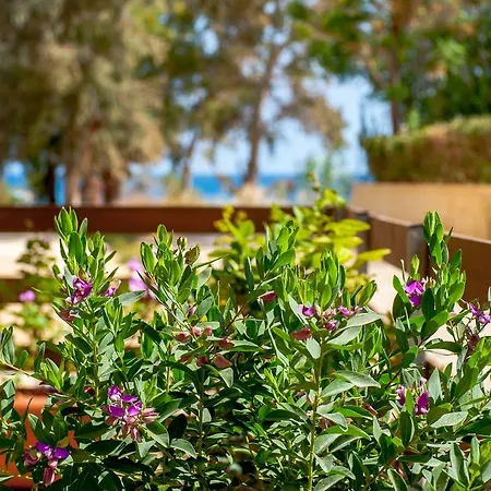 Semiramis Aparthotel 2*